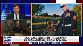 Tucker Carlson: Bass The Dog