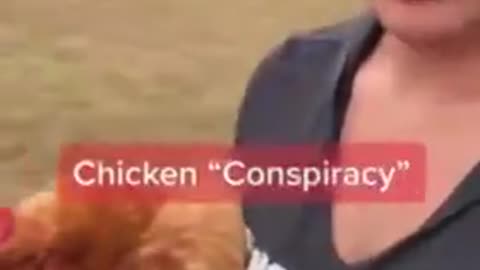 Poisoned Chicken Feed Conspiracy CONFIRMED !!!