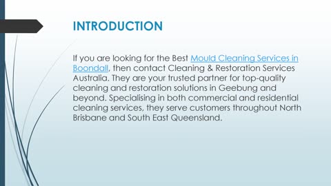 Best Mould Treatment in Boondall