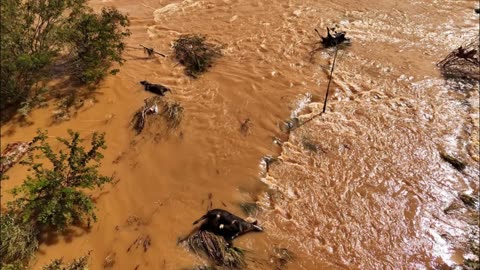 Rains trigger massive floods in Brazil