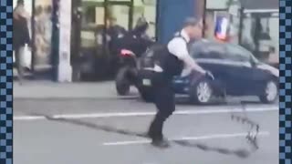 BRITISH COP FAIL