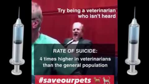 YOUR PETS ARE DYING FROM VACCINES - VETERINARIAN TESTIMONY