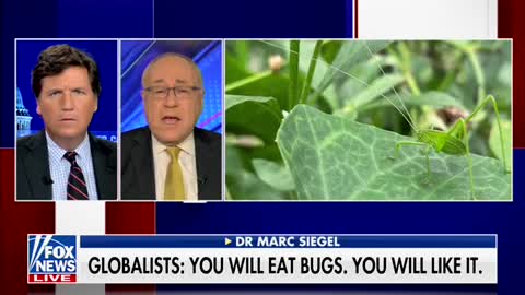 Federal Gov't Will 'Probably' Force Americans To Eat Insects, Tucker Carlson Says