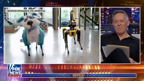 Innovation and Fun: Robot Dogs Get a Makeover on 'Gutfeld!'