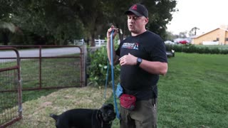 GIANT CANE CORSO PUPPY! | How To Train Day 1