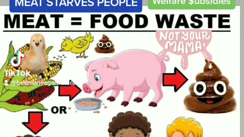 MEAT STARVES People = Food Waste 🌽🌽🌽=🐖🍼🐥=💩💩💩 Why Vegan Vegetarian Facts