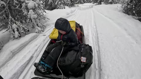 Wolves "Laughing" Outside Our Tent - Hot Tent Hammock Camping in Deep Snow