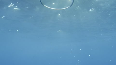 Diver Blows Bubble Rings