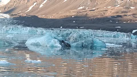 Not all icebergs are white