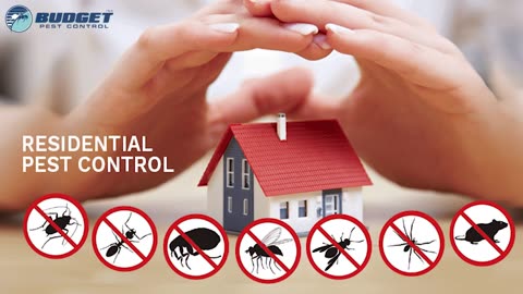 Winter Pest Rodent Critter Control Professional Exterminators Budget Pest Control Pittsburgh PA