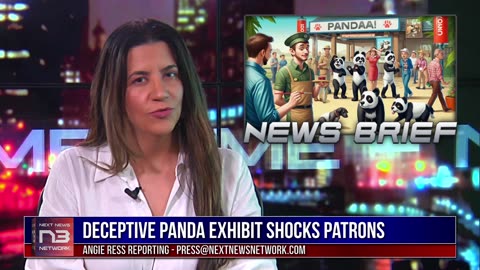 Zoo Bamboozles Visitors, Pandas are Dogs!