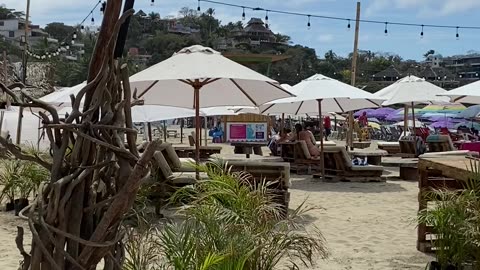 Beach restaurants