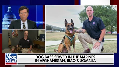 Tucker Carlson awards Employee of the Month to a very good Belgian Shepherd named Bass