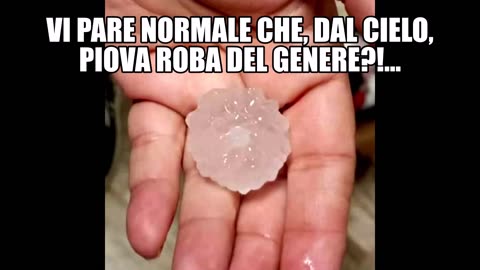 (Roma, 2 Maggio 2024 - ORE 21.40): “VI PARE NORMALE CHE, DAL CIELO, PIOVA ROBA DEL GENERE?!...”👿👿👿 -Io credo che, questa, sia solo una ulteriore anteprima, cui faranno presto seguito ben peggiori puntate...- SIATE PRONTI!!😇💖🙏