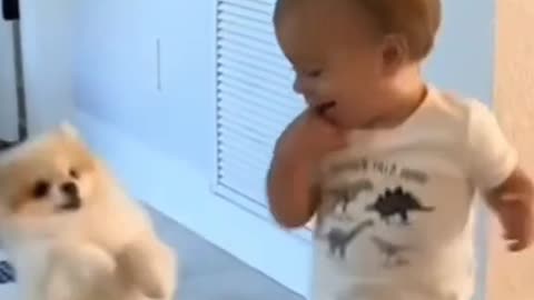 Try Not To Laugh Too Hard When You See This Toddler's Reaction After playing His Dog