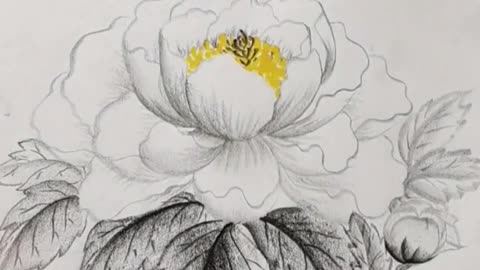 How to blooming a flower on pencil.