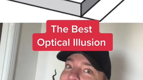 Best Optical Illusion