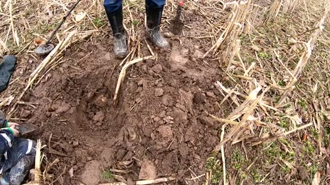 Metal Detecting a Civil War Era Farm - Treasure Hunting Abandoned Barn