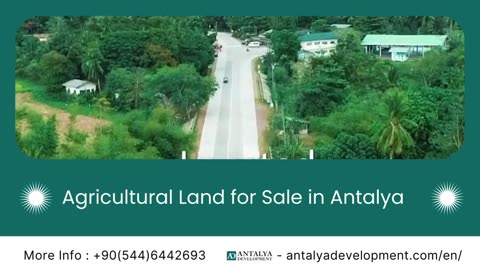 Find Agricultural Investment Opportunities in Antalya | Antalya Development