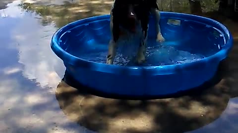 Boudreaux in his kiddie pool