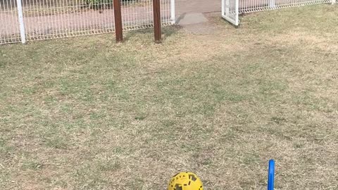Guy Gets Nailed With a Soccer Ball