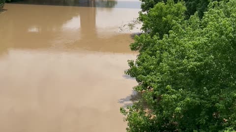 (05/05/2024) SOUTH BOSQUE IN IT’S FLOODED STATE AS SEEN ON THE COTTON BELT TRAIL. A RARE SIGHT!!