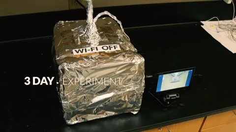 Students test what happens when plants are exposed to radiation emitted by a WiFi router