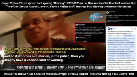 Project Veritas: Pfizer Responds to Pfizer Exe Jordan Walker's "Controlled Evolution" Confession