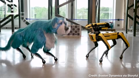 Nightmare Fuel: Boston Dynamics Dresses Robot Up in Furry Dog Costume