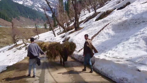 Pahalgam Aru valley ride at snow time - April | The Kashmir | Wild lens