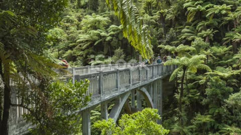Whanganui River: A Glimpse of Serenity #travel #explore #nature