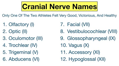 Cranial Nerves MADE EASY_ Mnemonic & Tricks for their Names & Function