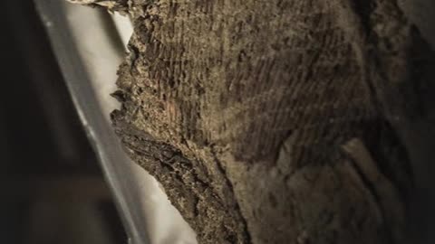 Fascinating Mummified Bodies Found Outside Egypt #short