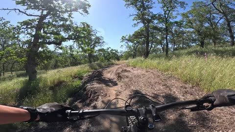 Exchequer Bike Park (La Grange, Ca); Tarantula Trail