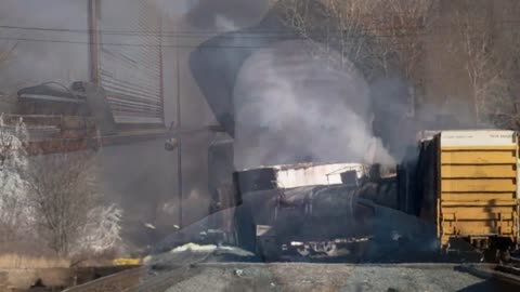 Animals Falling Sick and Dying Near Ohio Train Derailment Site