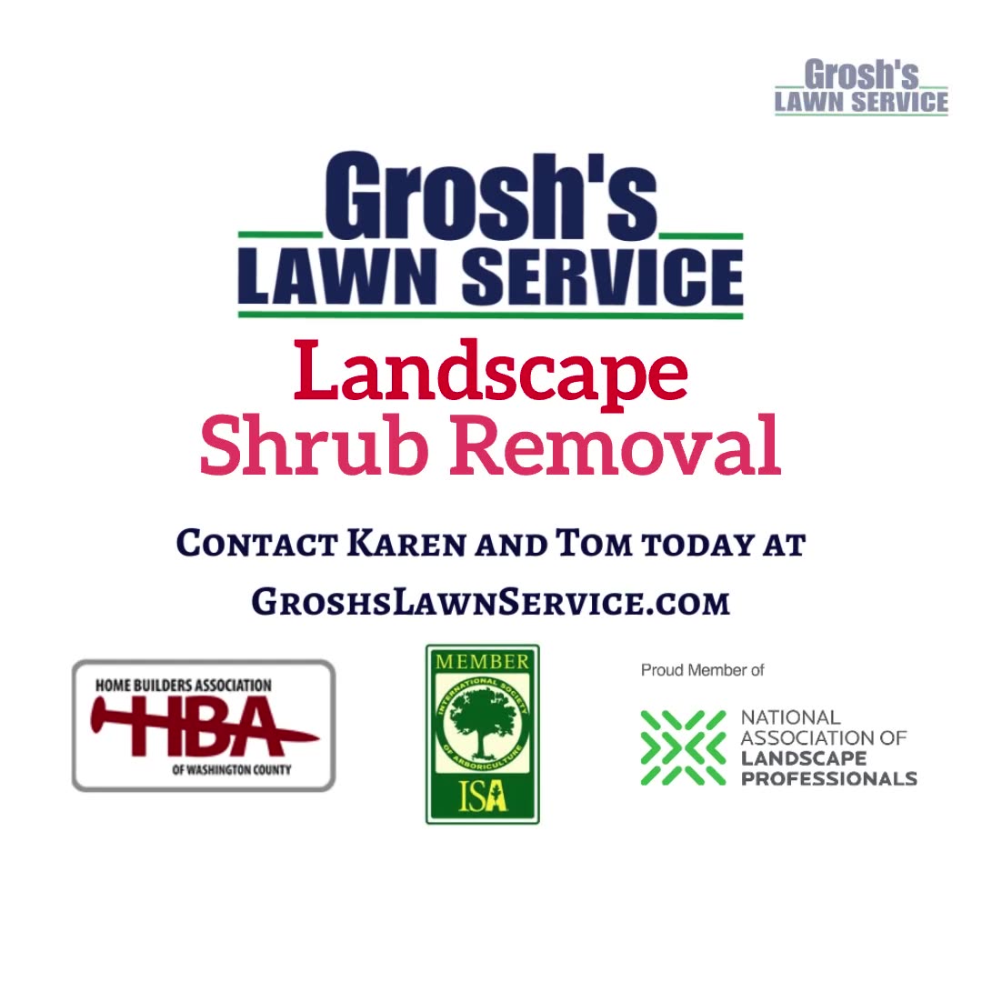 Shrub Removal Mercersburg Pennsylvania Landscape Contractor
