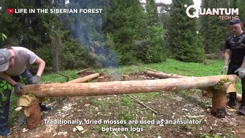 Two Brothers Build Amazing Log Cabin Off Grid From Scratch | by @lifeinthesiberianforest1