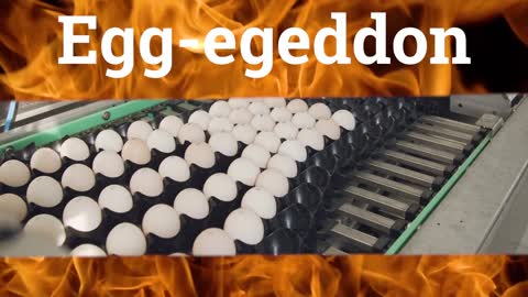 Egg-egeddon Part 1
