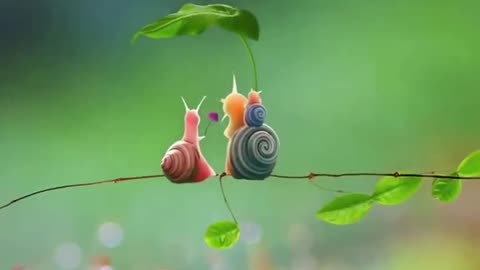 cute snail #shortsvideo #shortvideo #cute #shortvideo #snails #cute #cutesnail