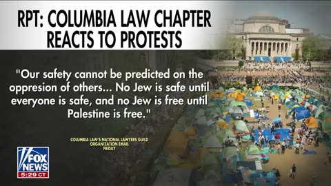 Democrat Condemns Anti-Israel Protests: A Peace Effort