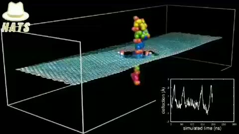 How Graphene Oxide interacts with DNA