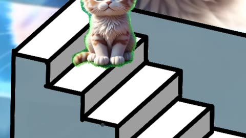 🤔🧐 Cute Cat and Magic Stairs ‼️