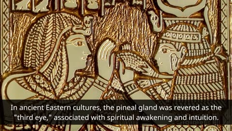 The Pineal Gland