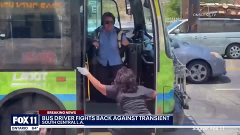 Blue City Bus Drivers Stage Massive Protest Over “Skyrocketing” Attacks