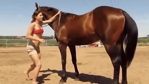Horse helps girl who is struggling to get on