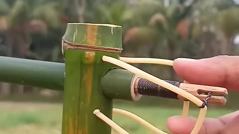Bamboo creations