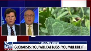 Tucker Carlson Highlighting a Lot of Foods have Crickets & Bugs in them Without Our Consent— 👀