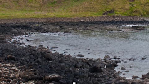The Giant Causeway: A Glimpse into History #explore #travel #history