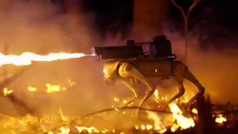 Flame-Throwing Robot Dog