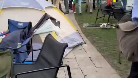 Anti-Israel Protestors Go After Student For Simply Trying To Get To Class